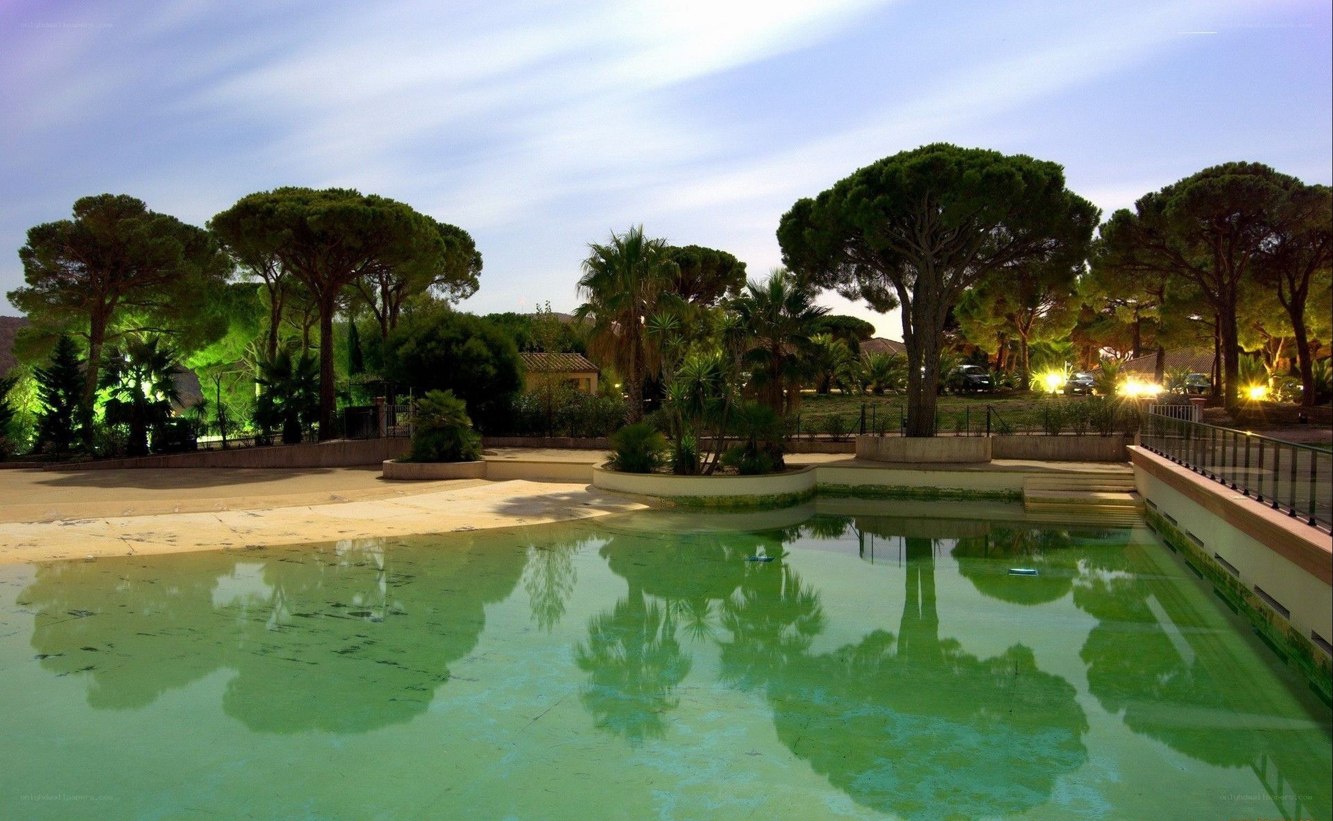 green pool at dusk