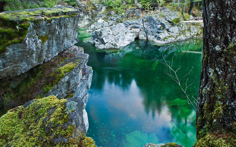 Green Pool in Forest
