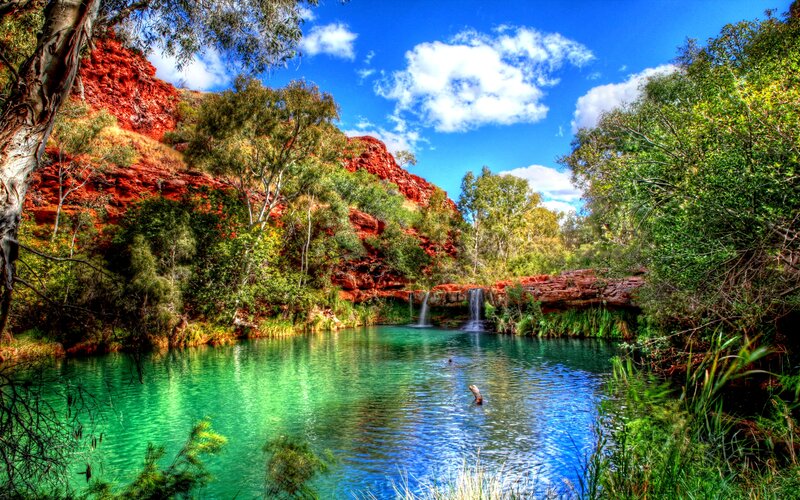 Green Pool with Waterfall