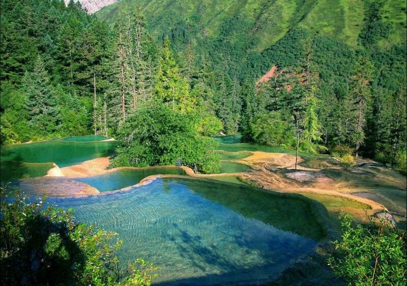 Green Pools in Forest