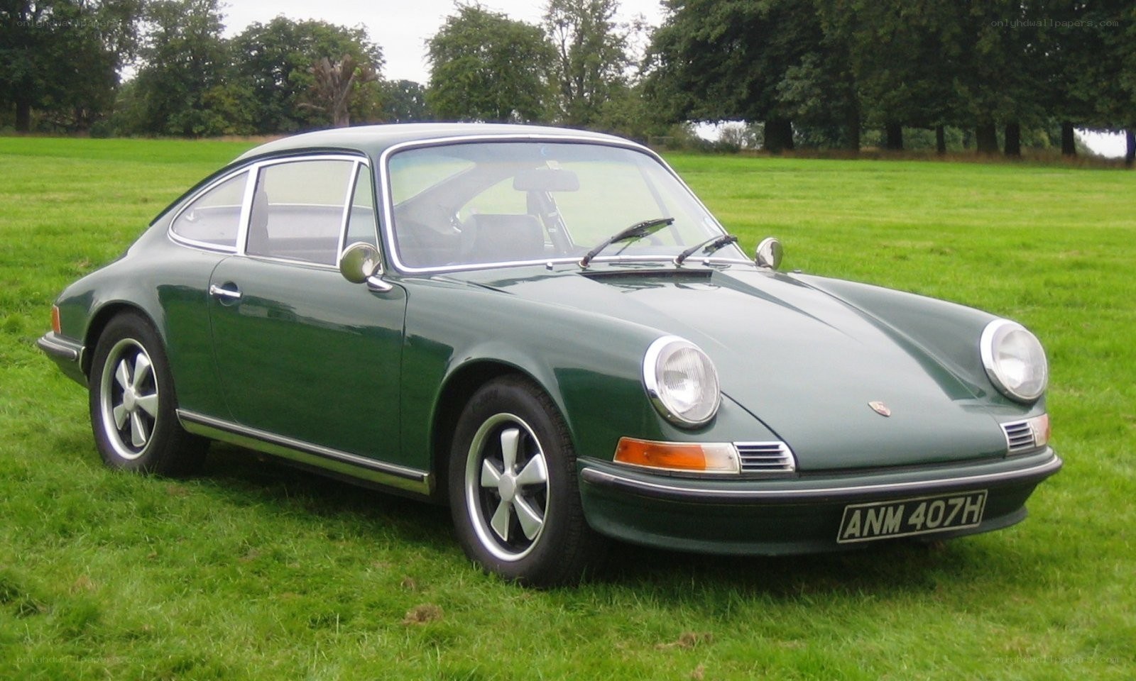 Green Porsche 911 on grass