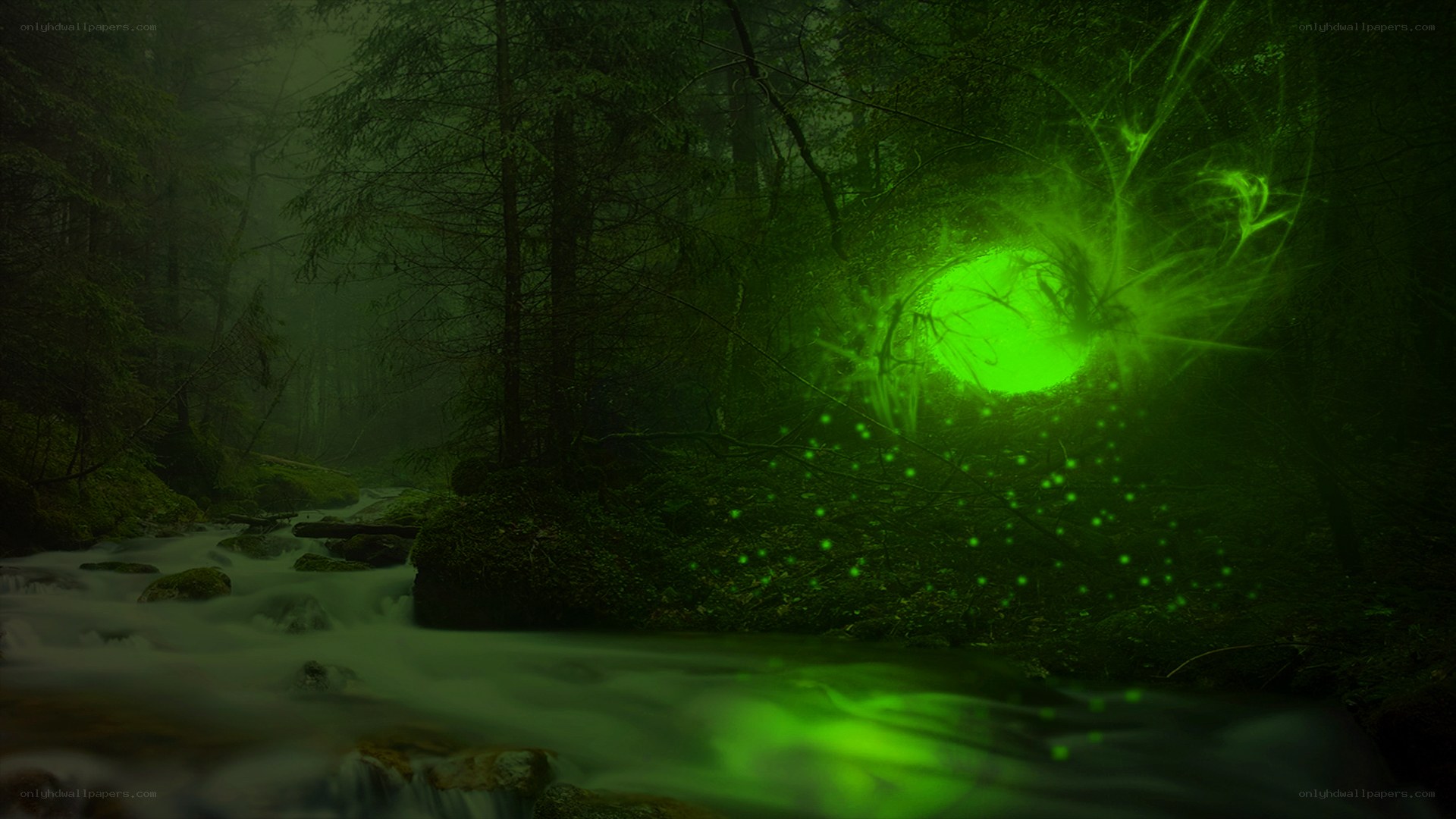 green portal in forest stream