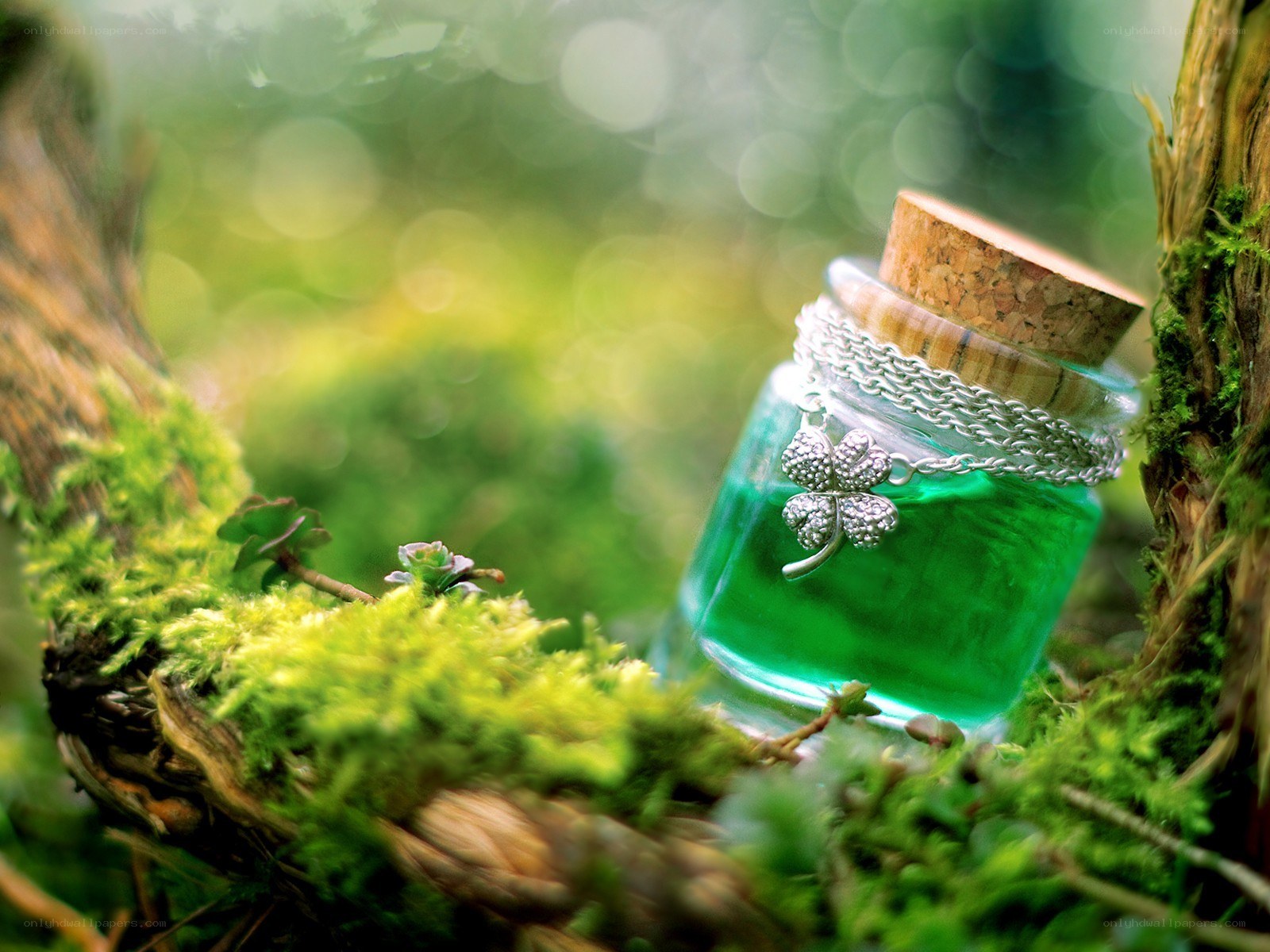 green potion in forest moss