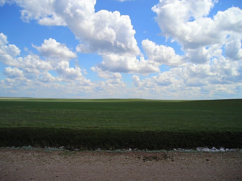 Green Prairie Landscape