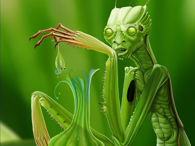 Green Praying Mantis — Dramatic, Digital Art