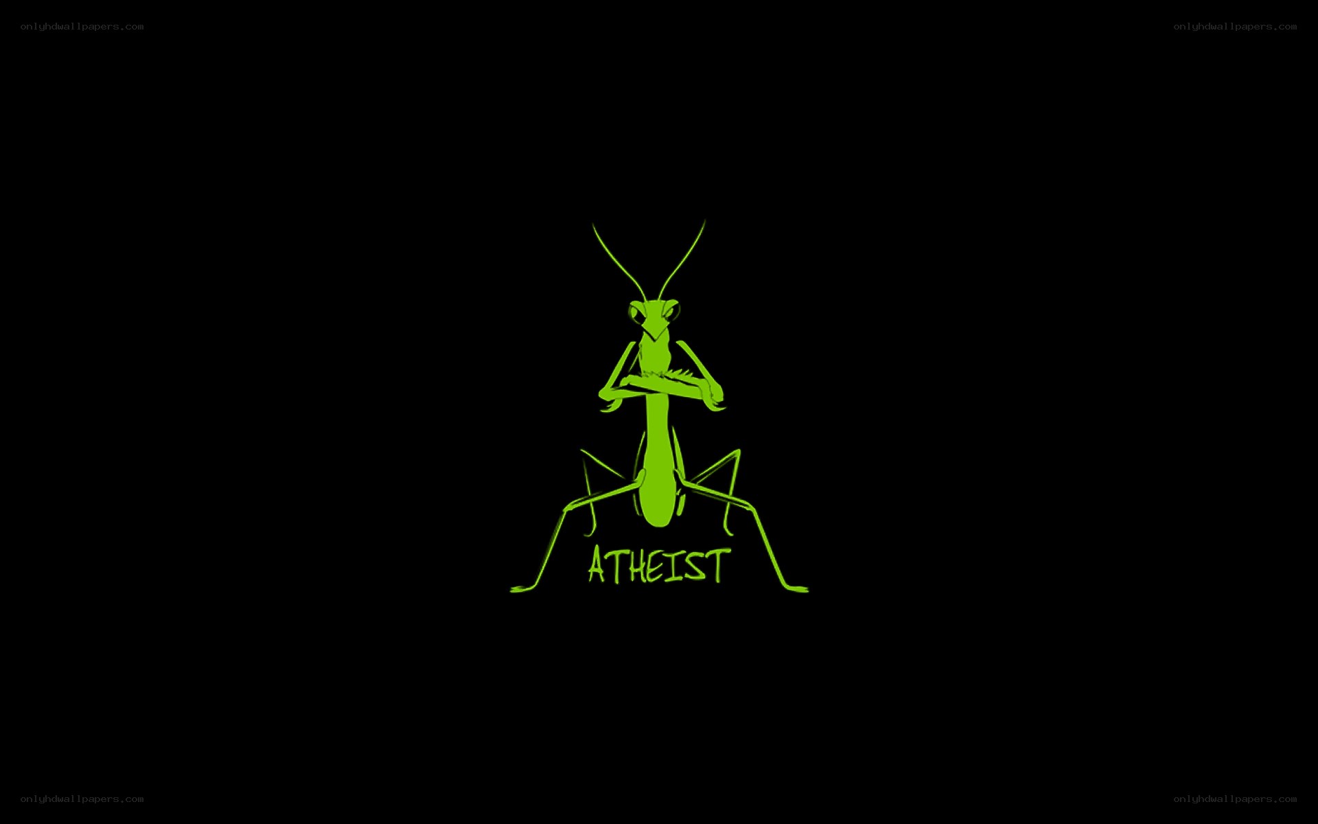 green praying mantis logo