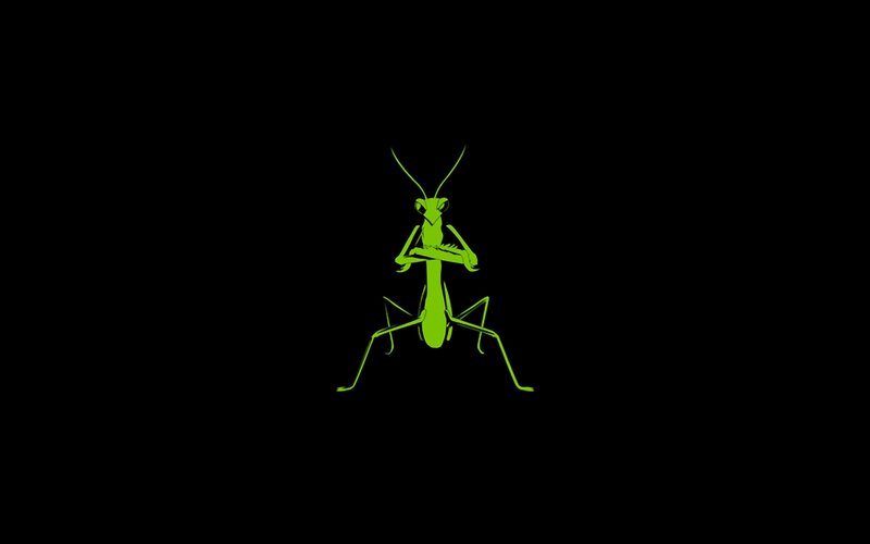 Green Praying Mantis — Minimalist