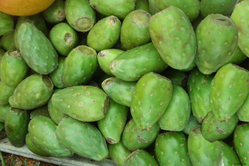 green prickly pears