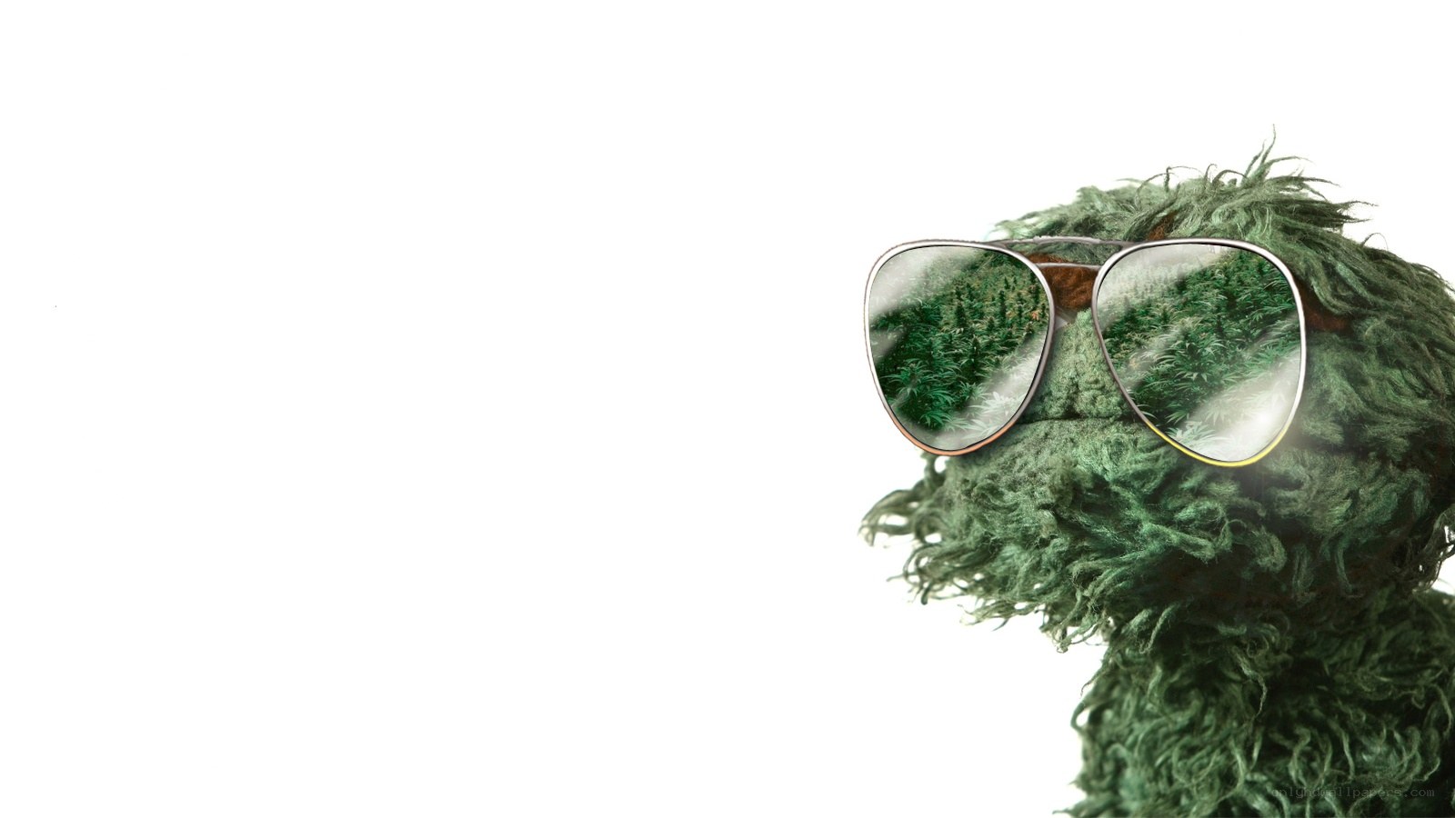 green puppet with sunglasses