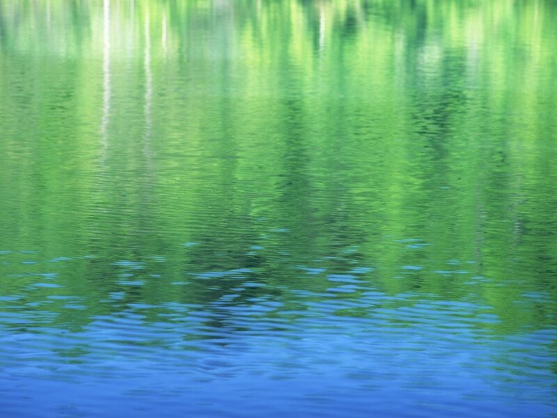 green reflections on water