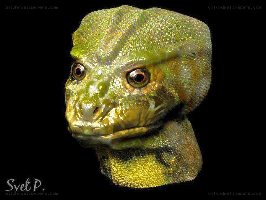green reptile head sculpture