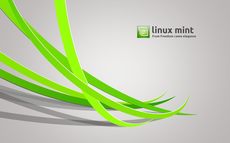 Green Ribbons on Gray