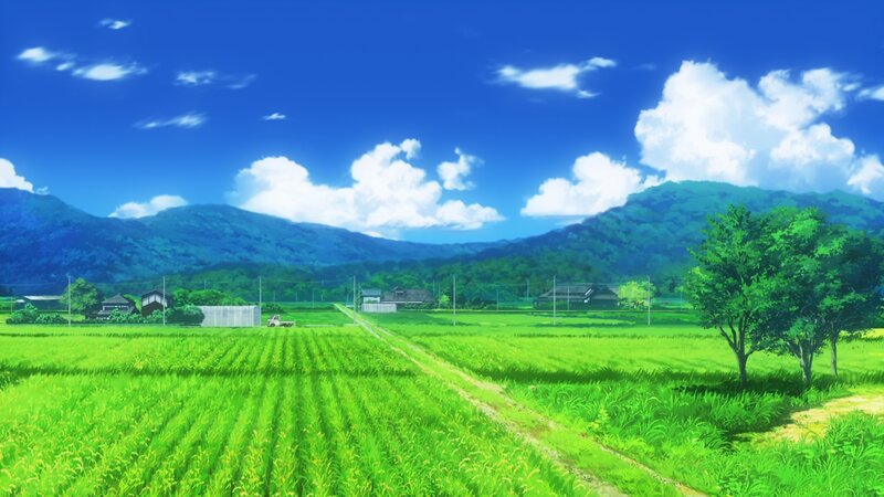 Green Rice Fields — Blue