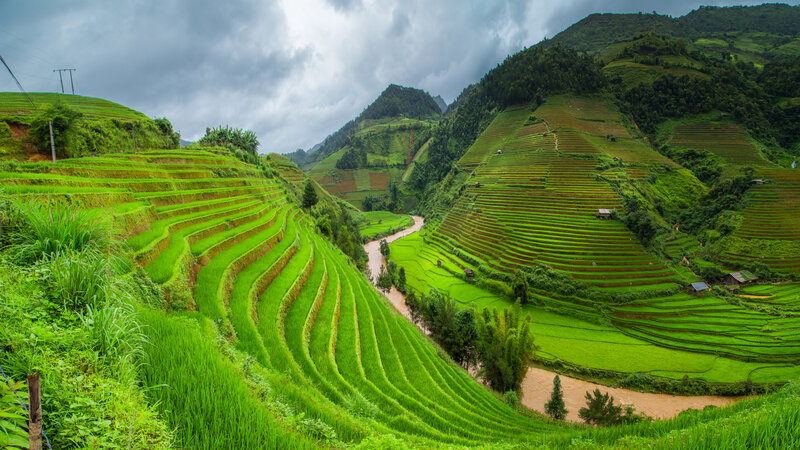 Green Rice Terraces — Dramatic