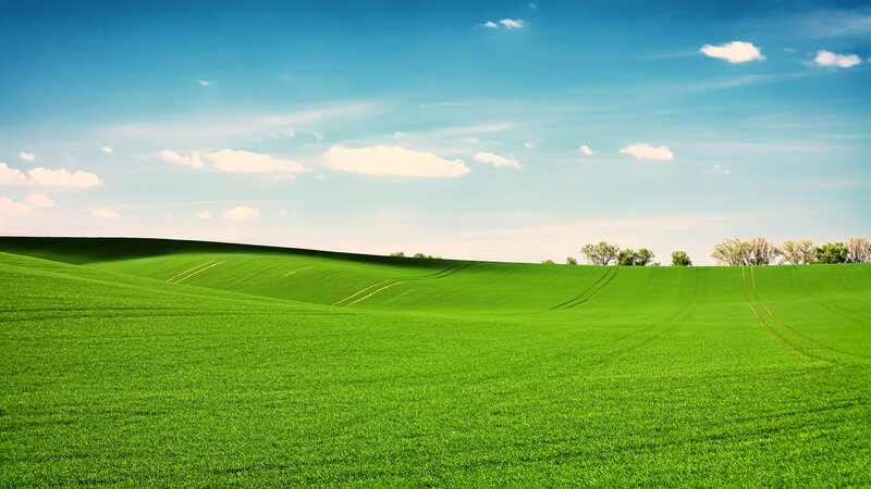 Green Rolling Fields — Serene