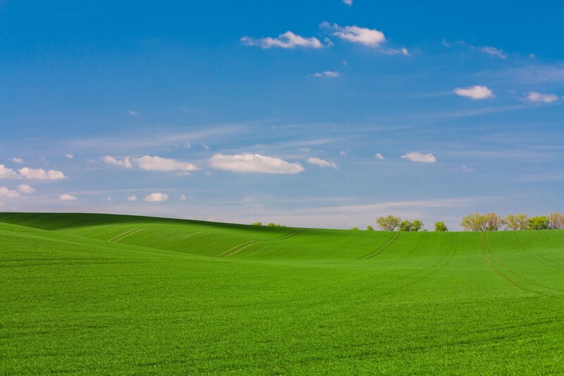 Green Rolling Fields