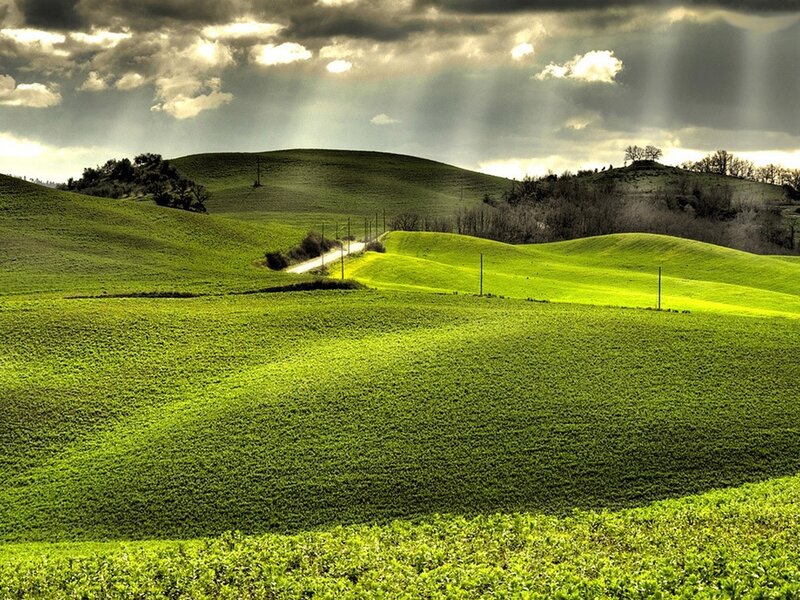 Green Rolling Hills — Dramatic, Afternoon, Photograph, Road