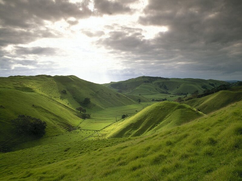 Green Rolling Hills — Dramatic, Afternoon, Photograph, Trees, Sky, Gray