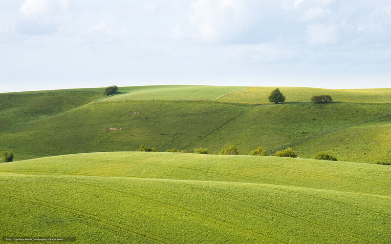Green rolling hills landscape