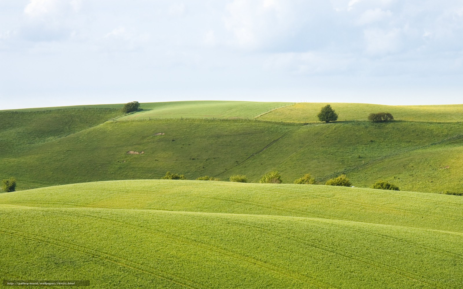 Green rolling hills landscape