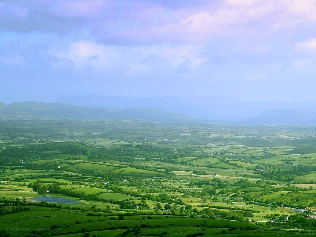 green rolling hills landscape