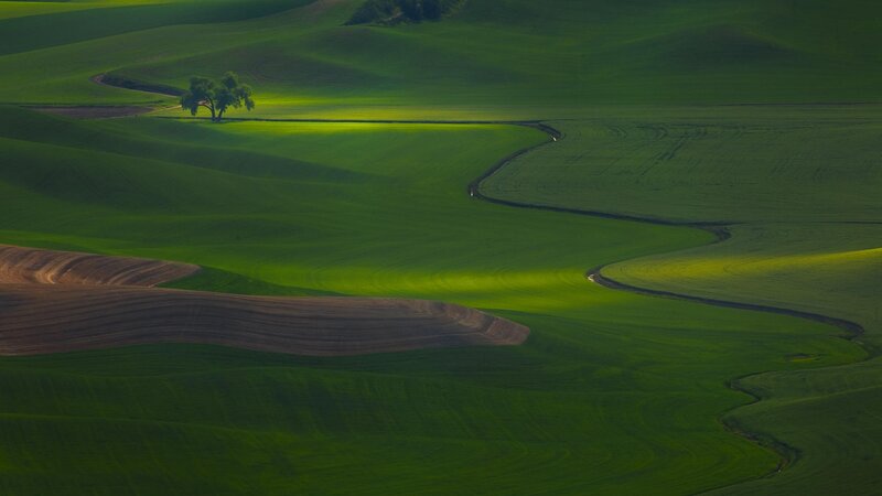 Green rolling hills landscape