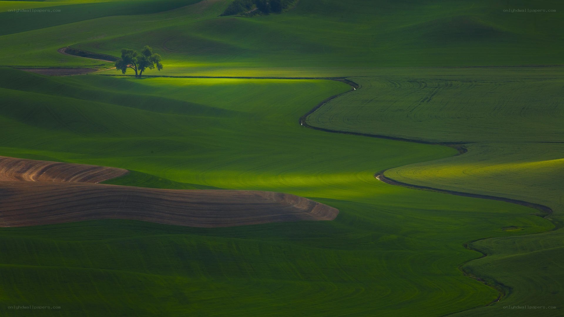Green rolling hills landscape