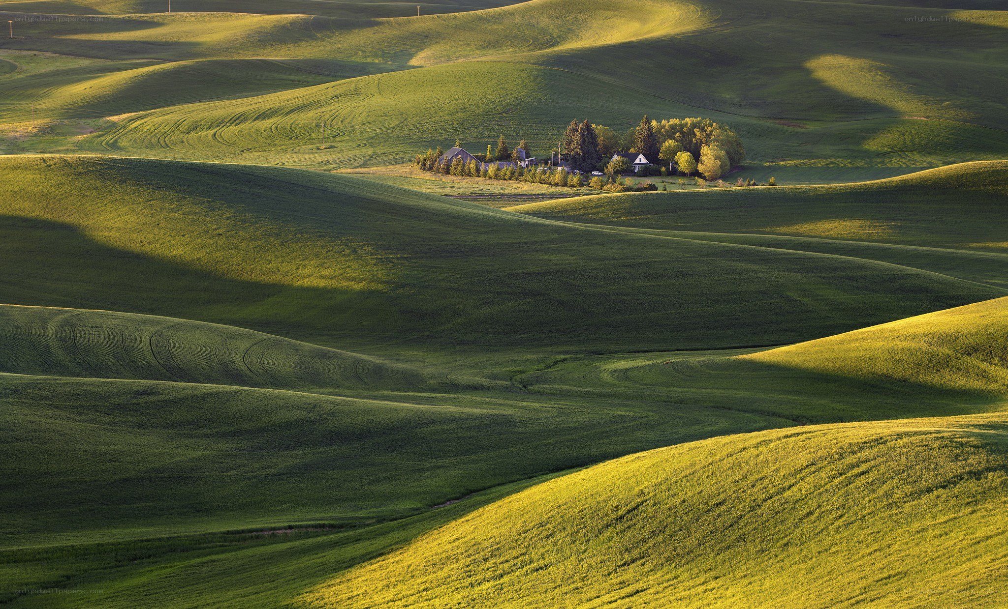 Green rolling hills landscape