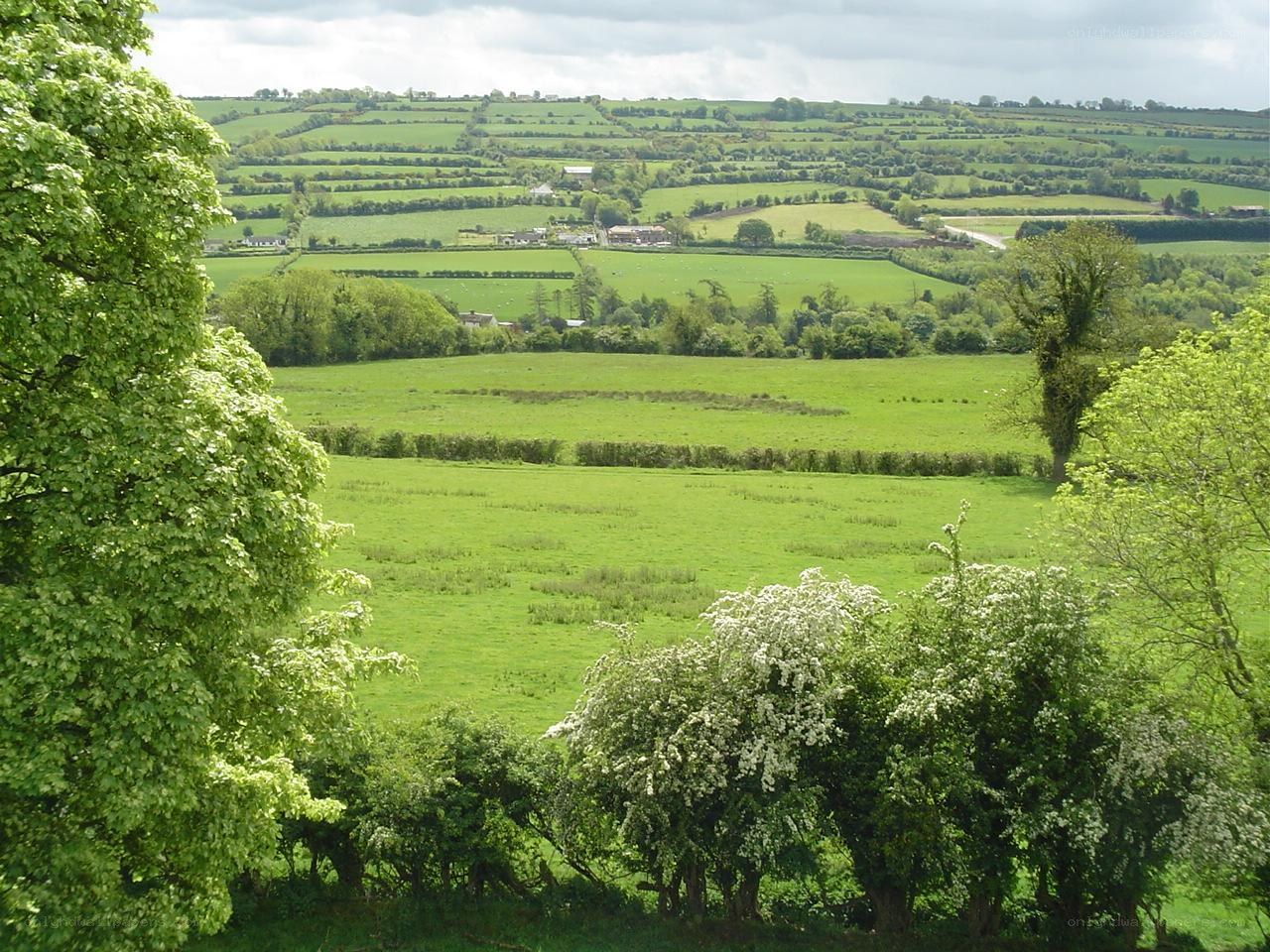 Green rolling hills landscape