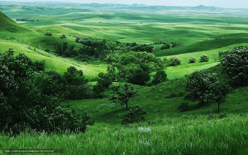 Green rolling hills landscape