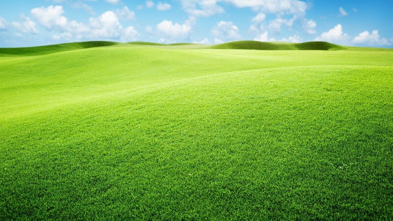 Green Rolling Hills — Photograph, Sky