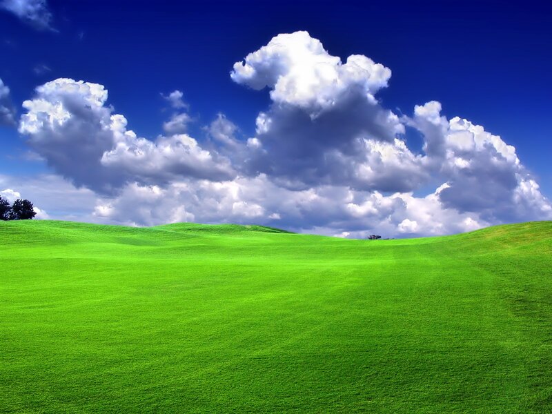 Green Rolling Hills — Serene, Afternoon, Photograph, Clouds, Sky, Trees
