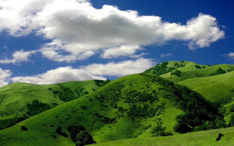 Green Rolling Hills — Serene, Afternoon, Photograph, Clouds, Trees, Sky