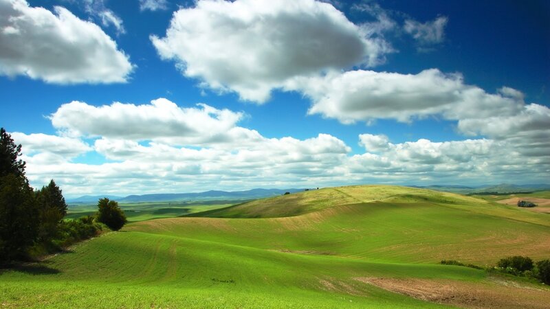 Green Rolling Hills — Serene, Afternoon, Photograph, Clouds, Trees