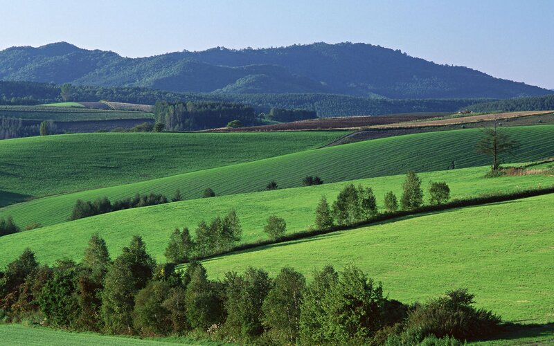 Green Rolling Hills — Serene, Afternoon, Photograph, Mountains, Trees, Fields