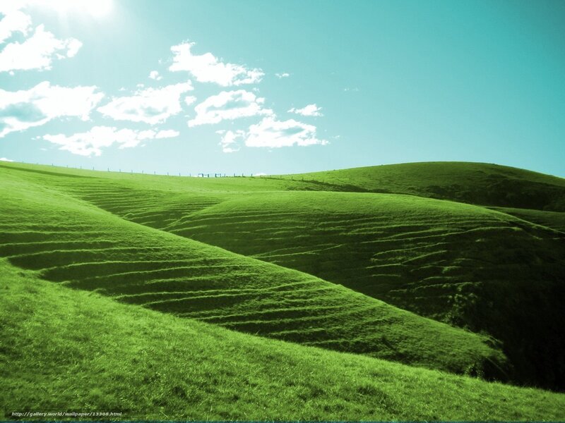 Green Rolling Hills — Serene, Afternoon, Photograph, Sky