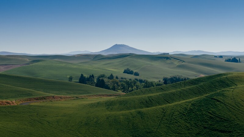 Green Rolling Hills — Serene, Afternoon, Photograph, Trees, Mountain