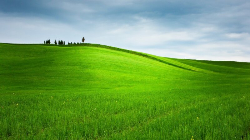 Green Rolling Hills — Serene, Afternoon, Photograph, Trees, Sky
