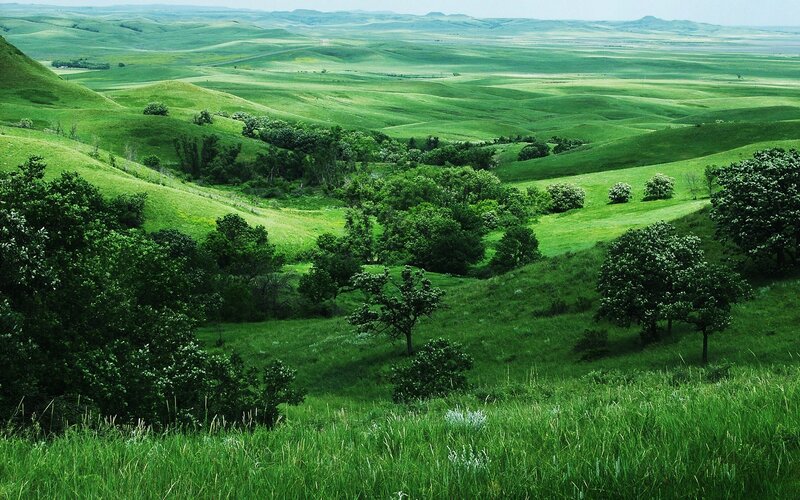 Green Rolling Hills — Serene, Afternoon, Photograph, Trees, Valleys