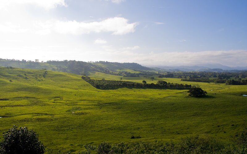 Green Rolling Hills — Serene, Afternoon