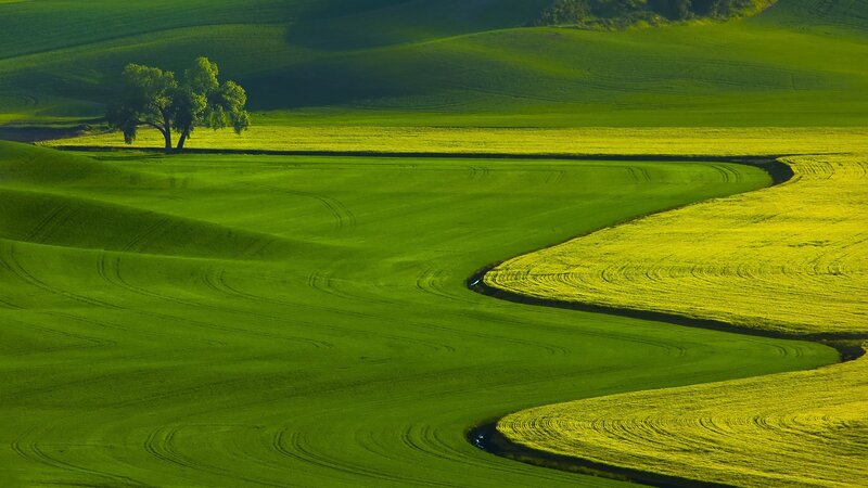 Green Rolling Hills — Serene, Morning, Photograph, Tree, River