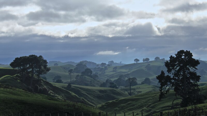 Green Rolling Hills — Serene, Morning, Photograph, Trees, Fence