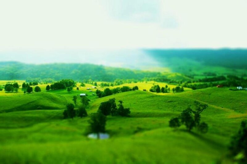 Green Rolling Hills — Serene, Morning