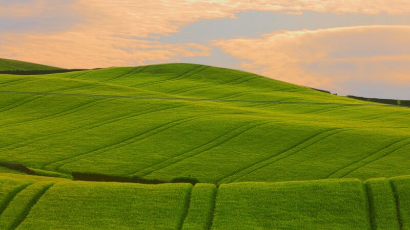 Green Rolling Hills — Serene, Sunset, Photograph, Fields