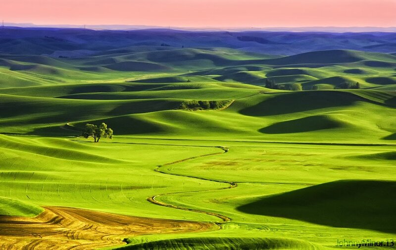 Green Rolling Hills — Serene, Sunset, Photograph