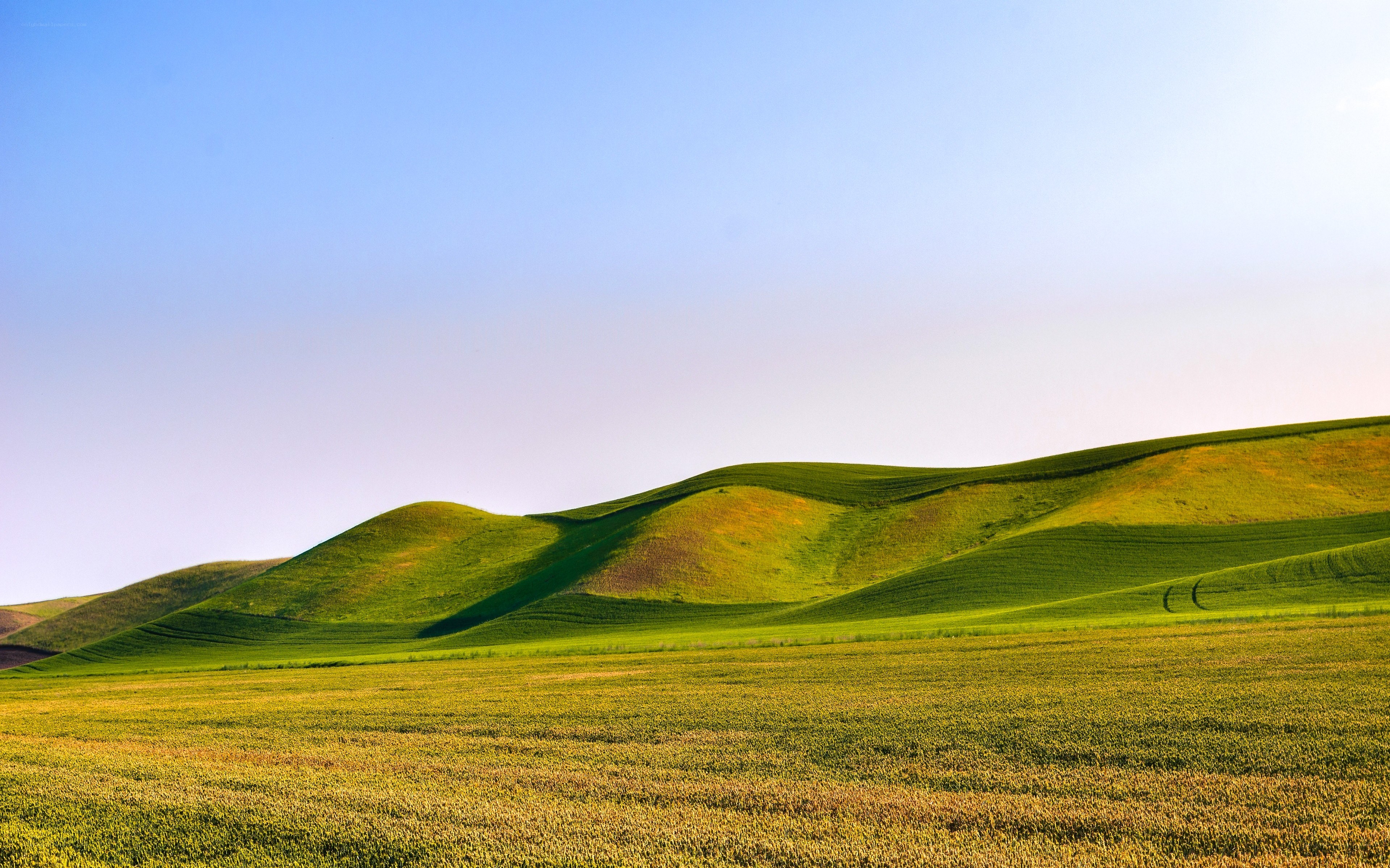 Green rolling hills under blue sky
