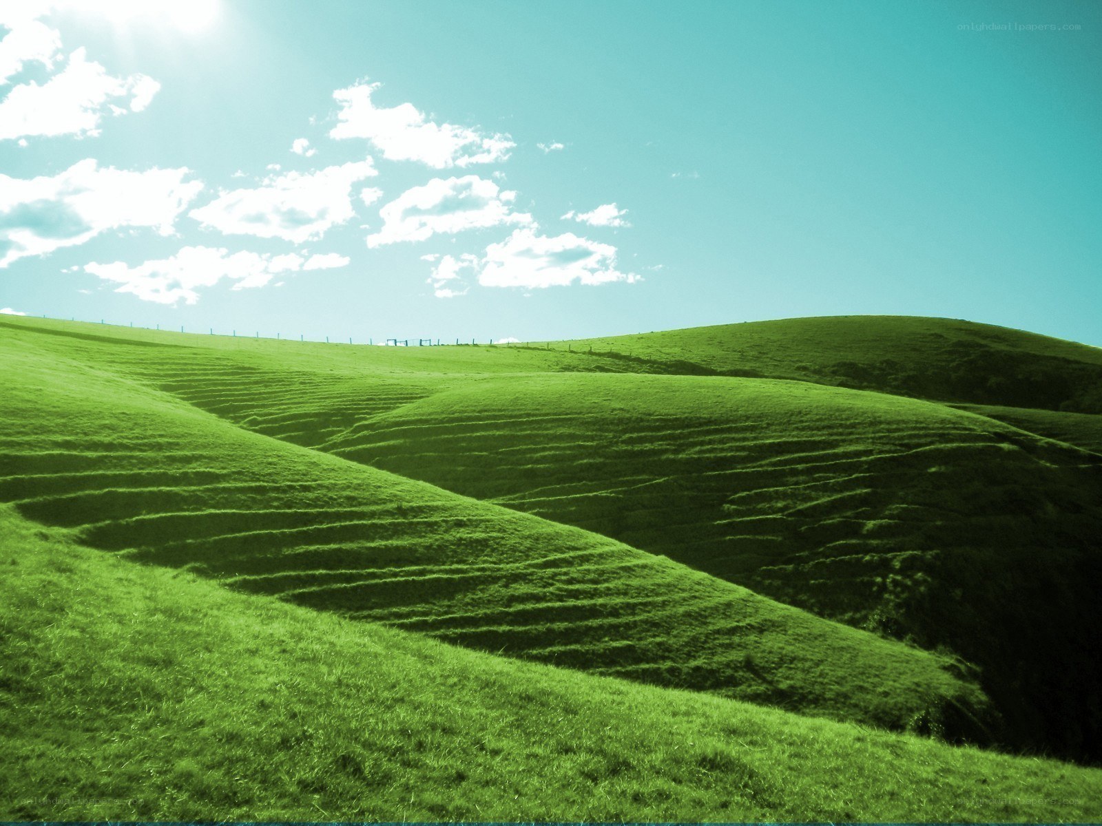 Green rolling hills under blue sky