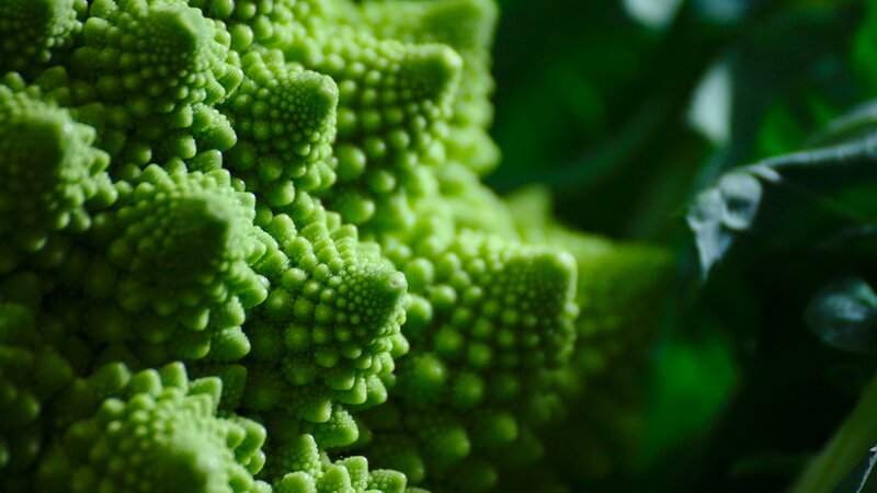 Green Romanesco Broccoli — Natural, Photograph