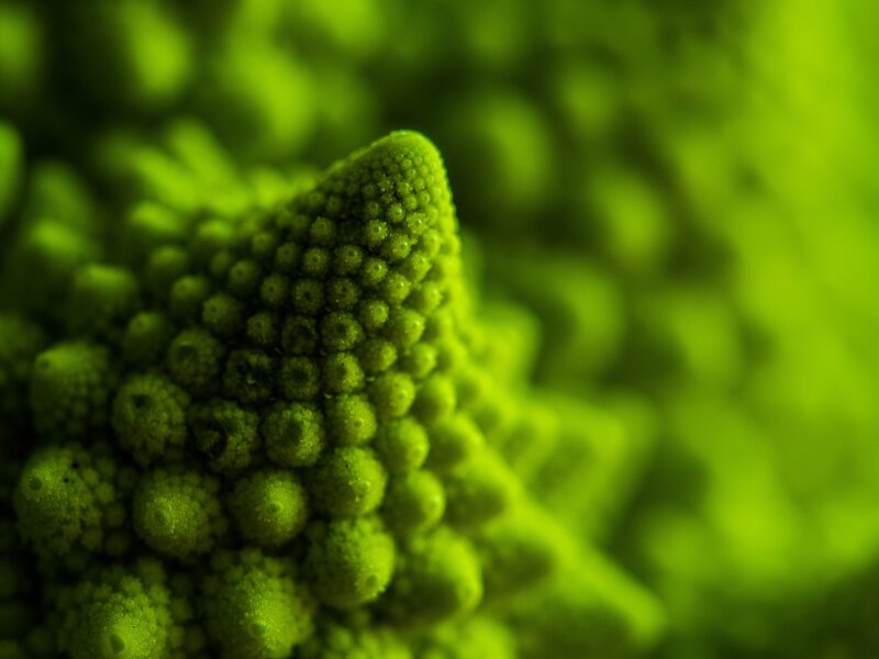 Green Romanesco Broccoli — Natural