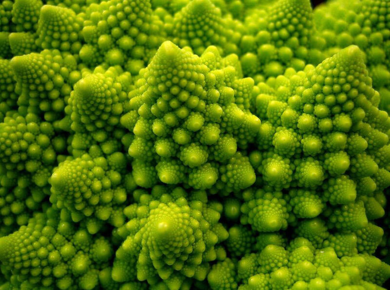 Green Romanesco Broccoli